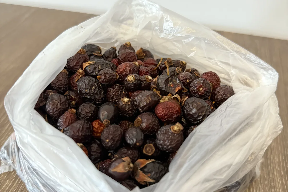 Горски плодове